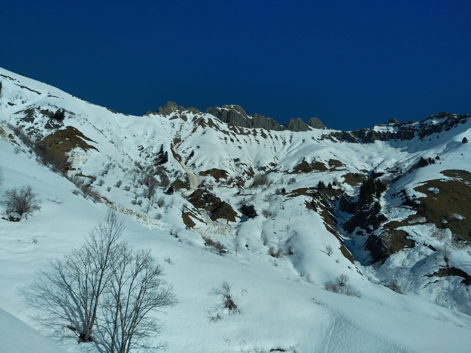 #2 Etat générale de la face Etat générale de la face