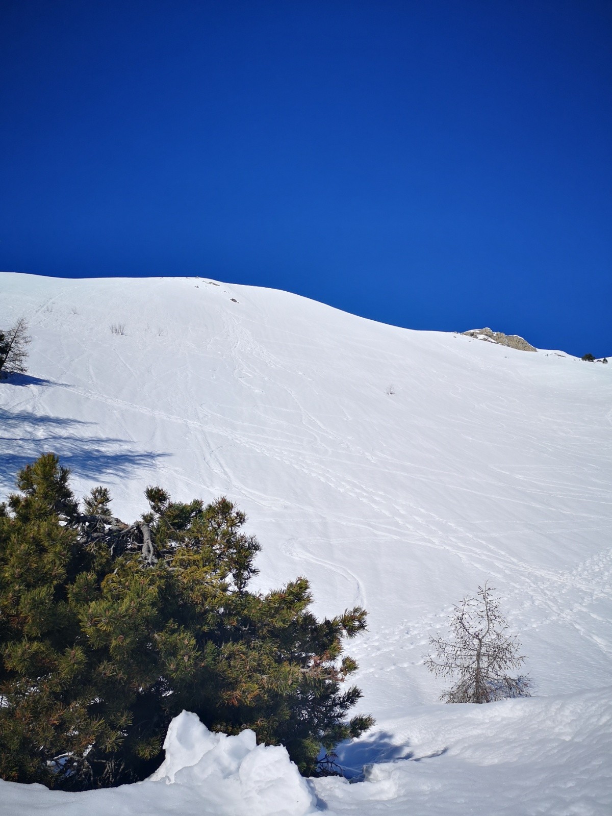 #8 État de la Moutty ! Ça tient bien ! État de la Moutty ! Ça tient bien !