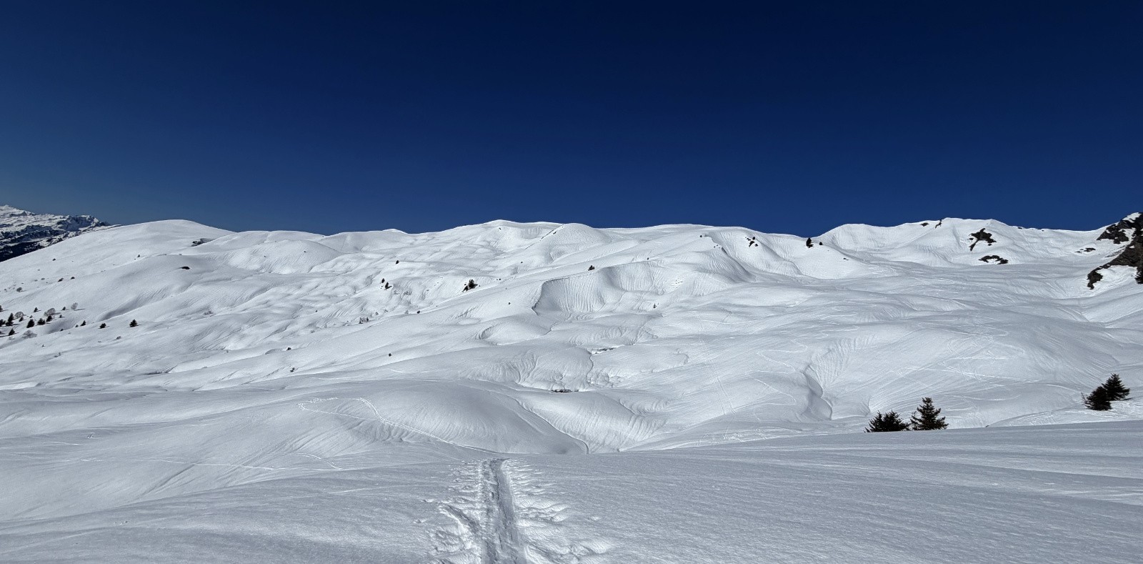 #7 l l'ensemble de la crête