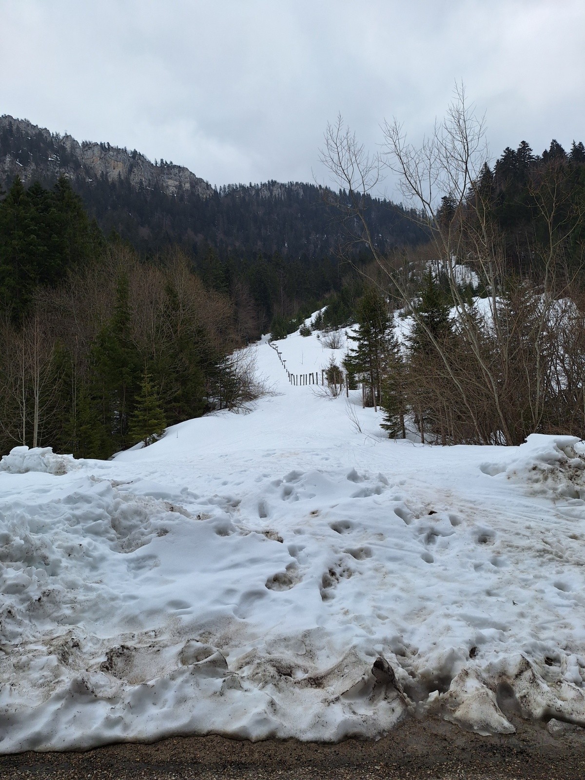 Encore de belles quantités au pkg&nbsp;