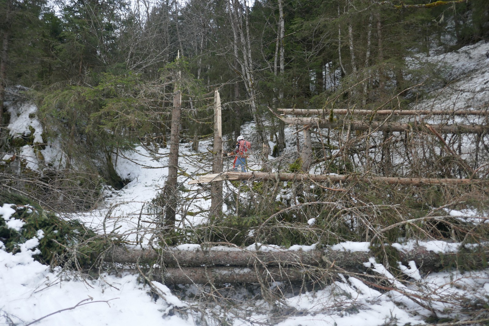Ils n'ont pas aimé la déflagration&nbsp; 