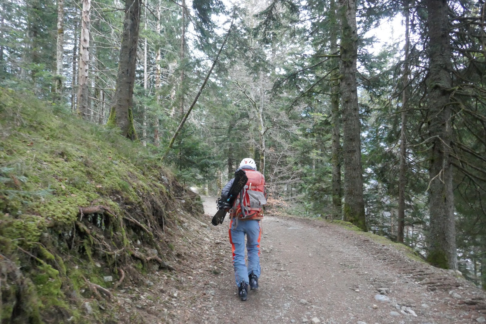 Piste forestière à 1300m 
