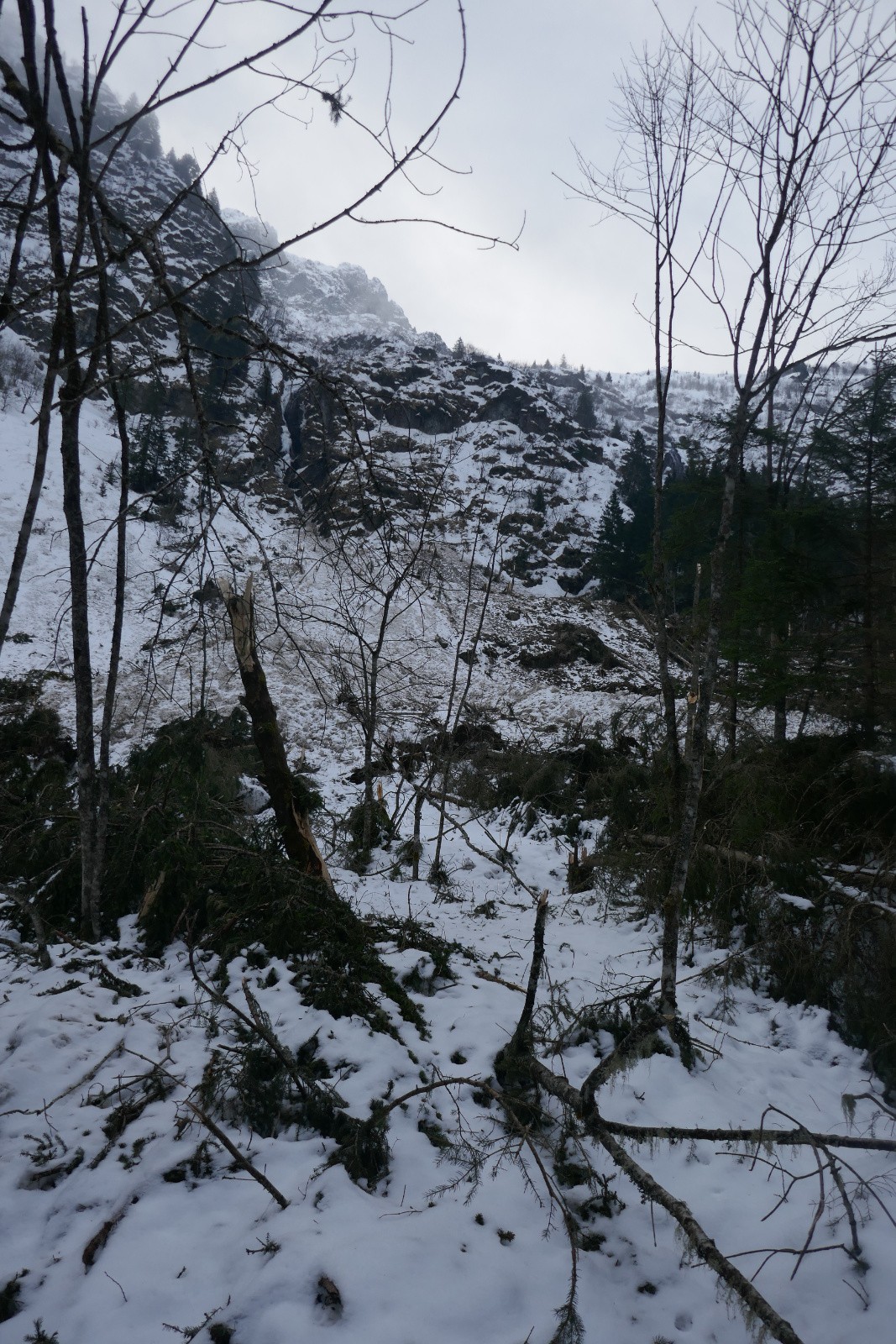 Tiens, c'est nouveau ça ?! 