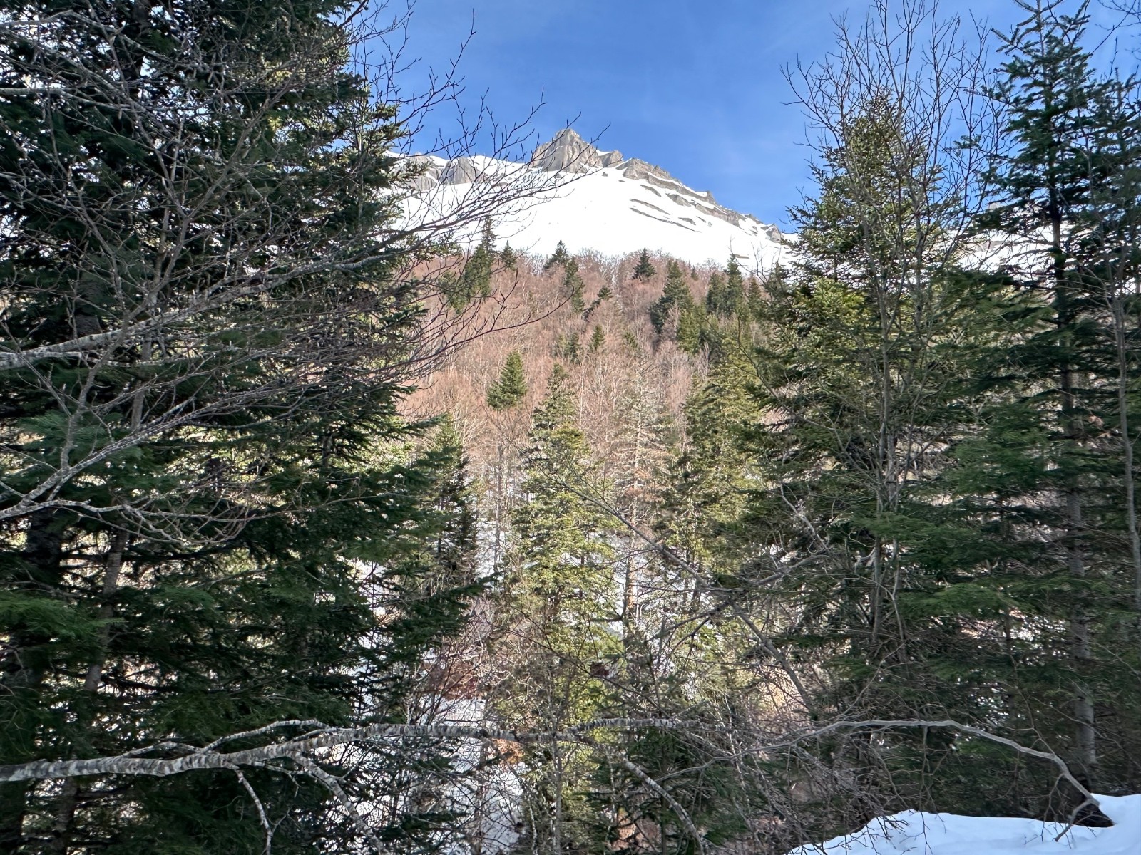 &nbsp;La tête du Lauzon