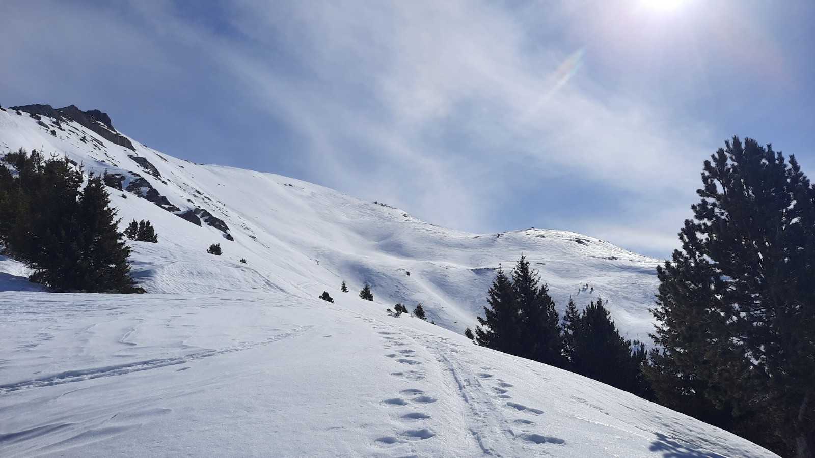 #3 Enfin sortis de la forêt! Enfin sortis de la forêt!