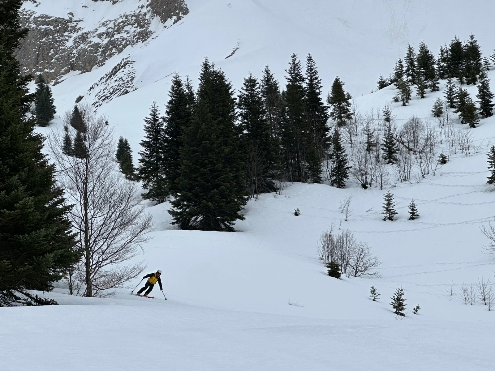 Vers le bas de la Combe. &nbsp;1600m.