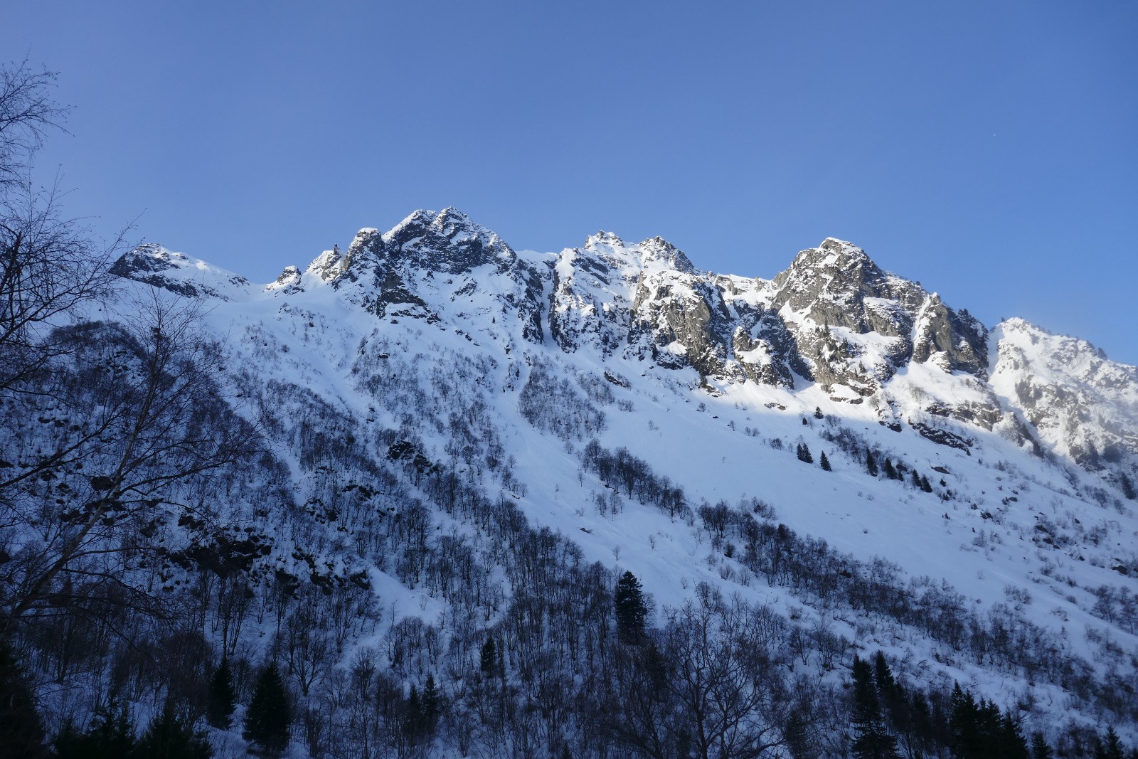 #5 Les Mouchillons Les Mouchillons