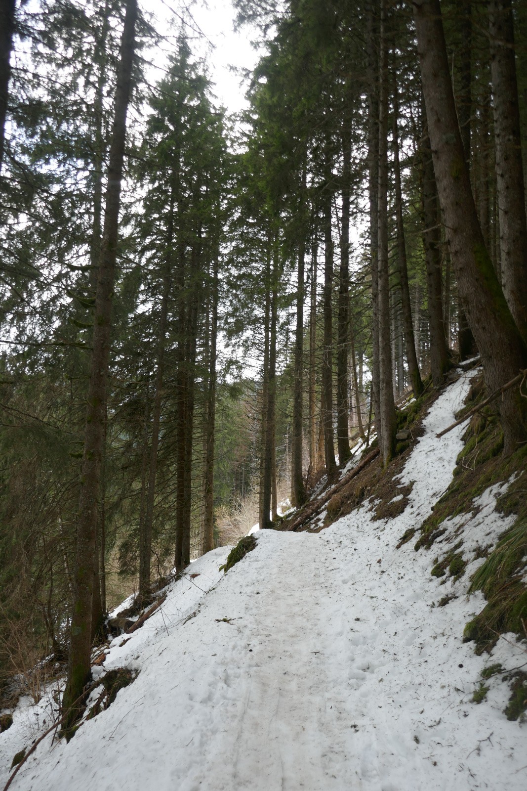 #39 Bientôt la fin du ski Bientôt la fin du ski