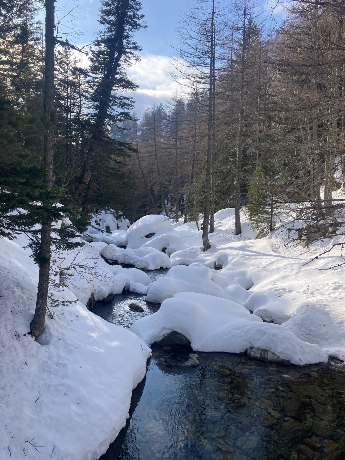 &nbsp;En montant au refuge