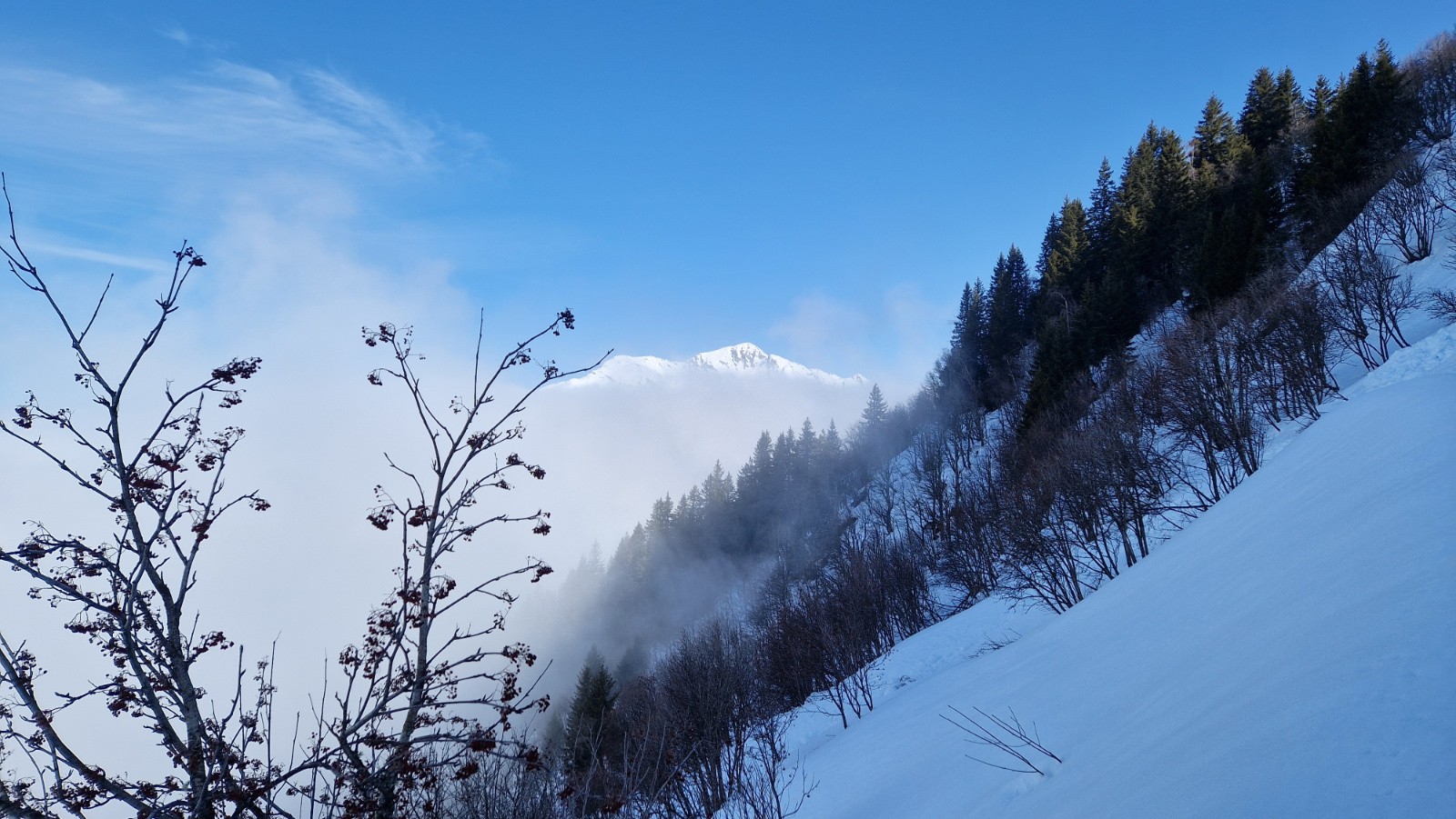 grand arc qui dépasse à peine&nbsp;