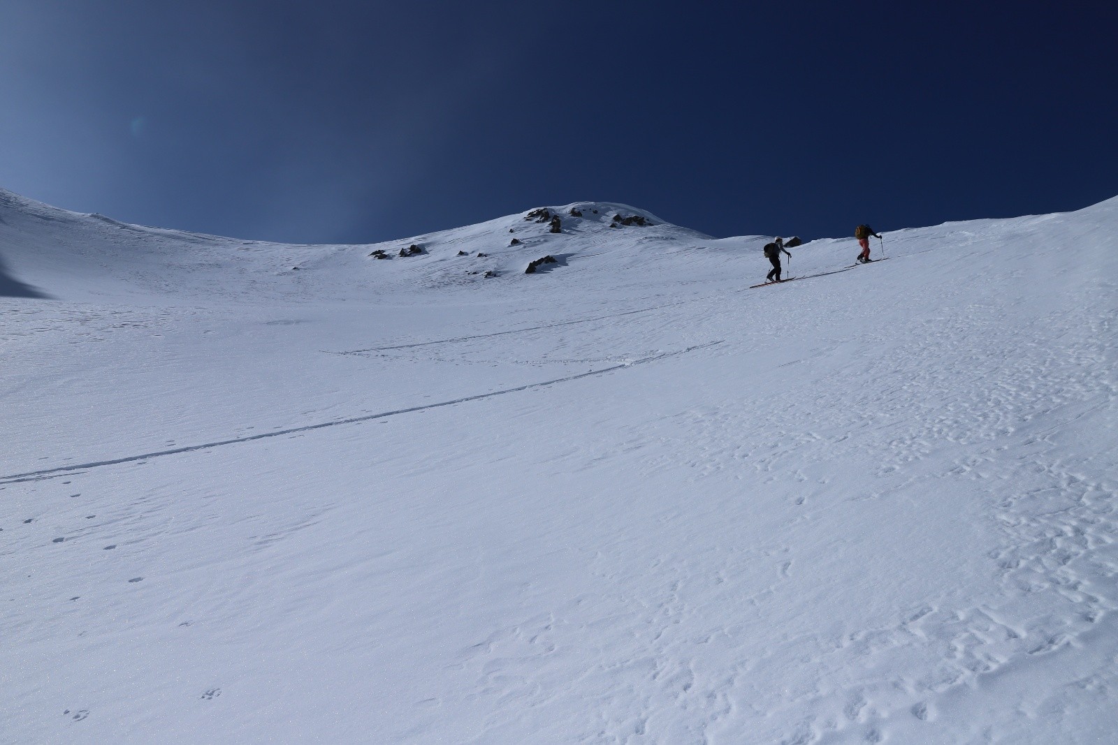 Marine à la trace&nbsp;