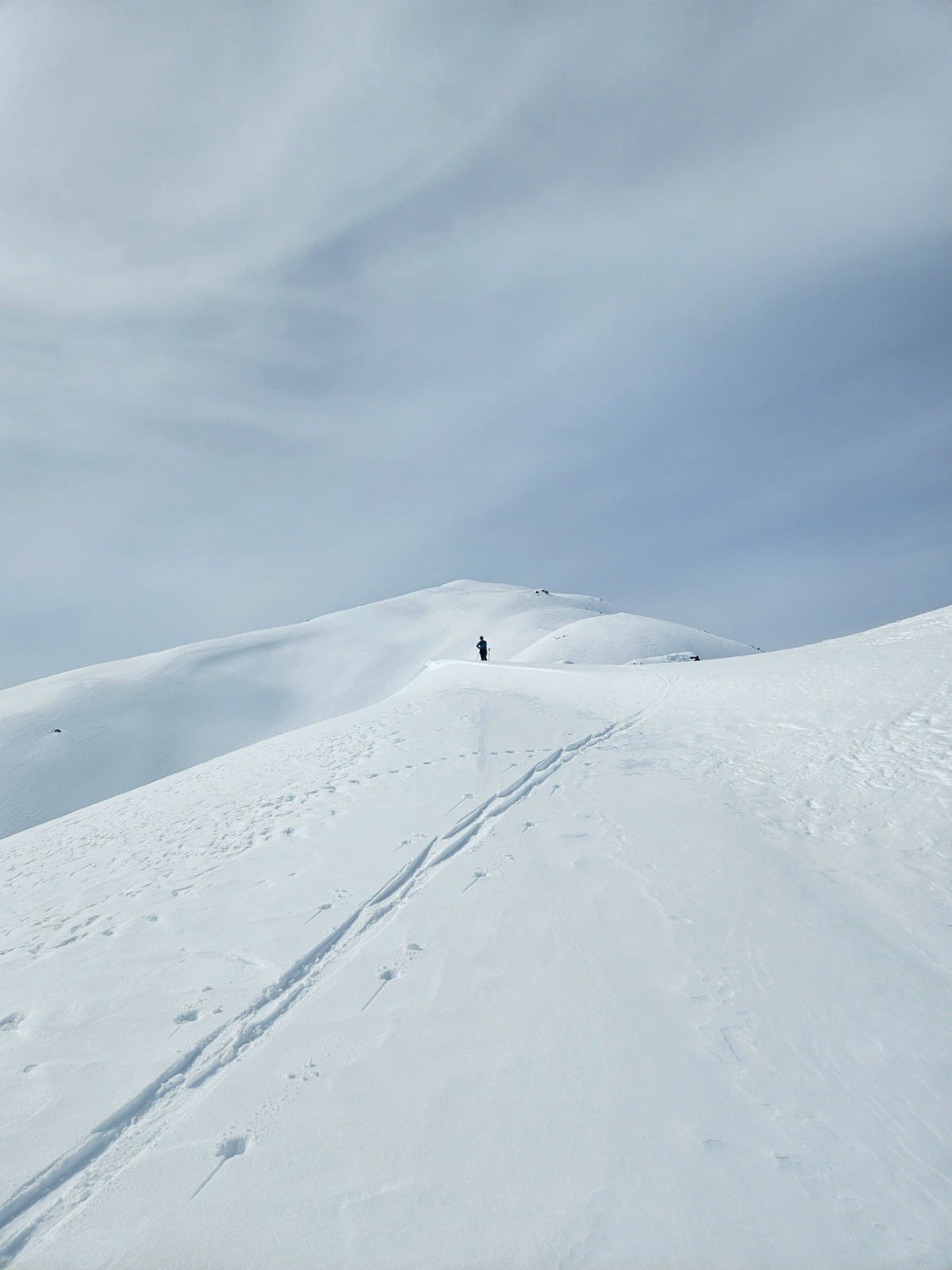 Petit Pinier encore loin&nbsp;&nbsp;