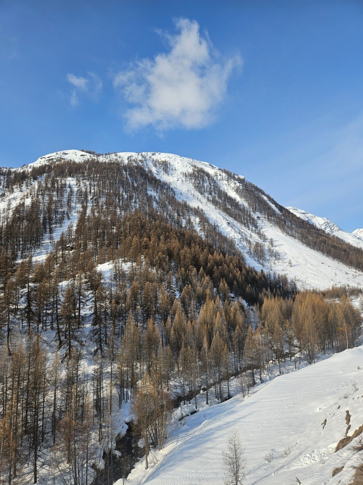 &nbsp;Tête des Arindoux