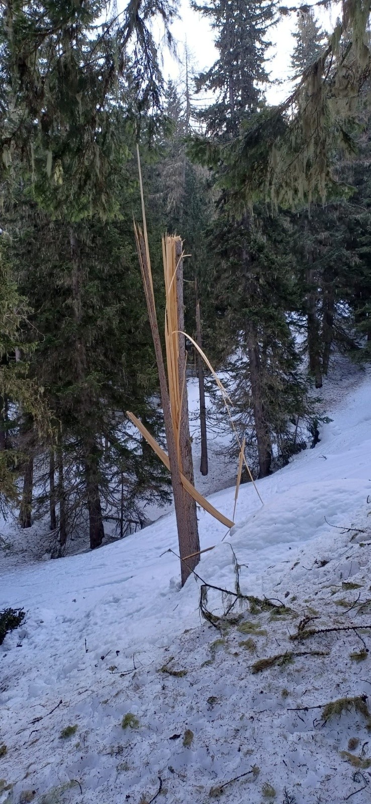 &nbsp;les bois ne sont pas toujours tranquilles