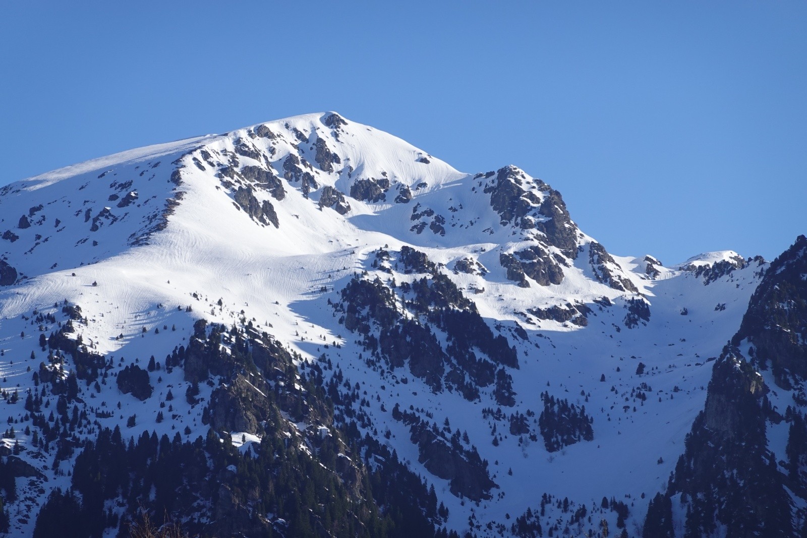 Peu de traces au Colon