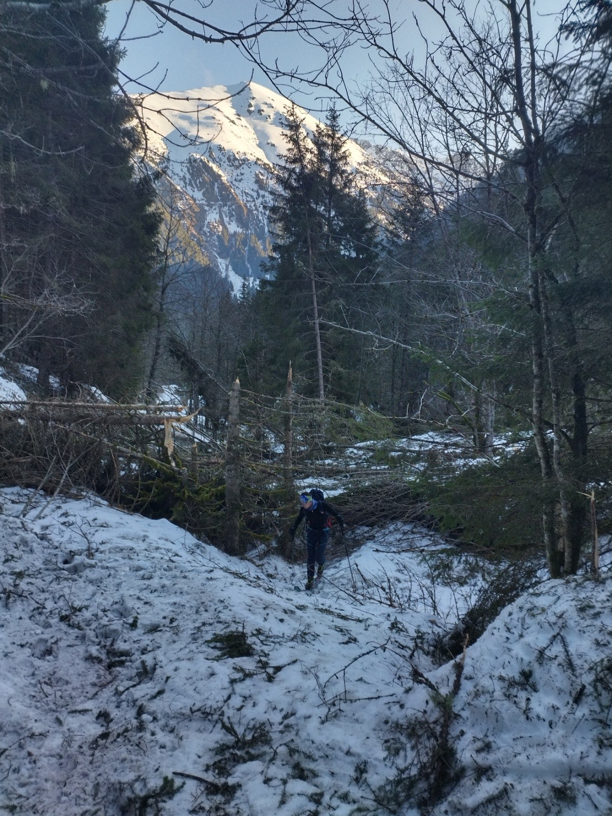 Ouragan à la Betta&nbsp;