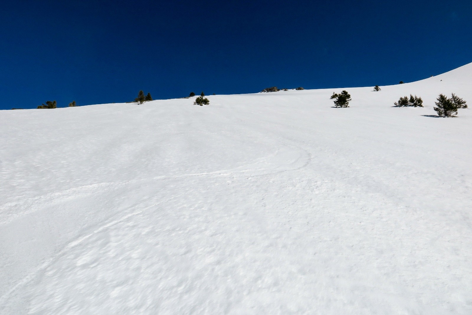 Très bon !&nbsp;&nbsp;