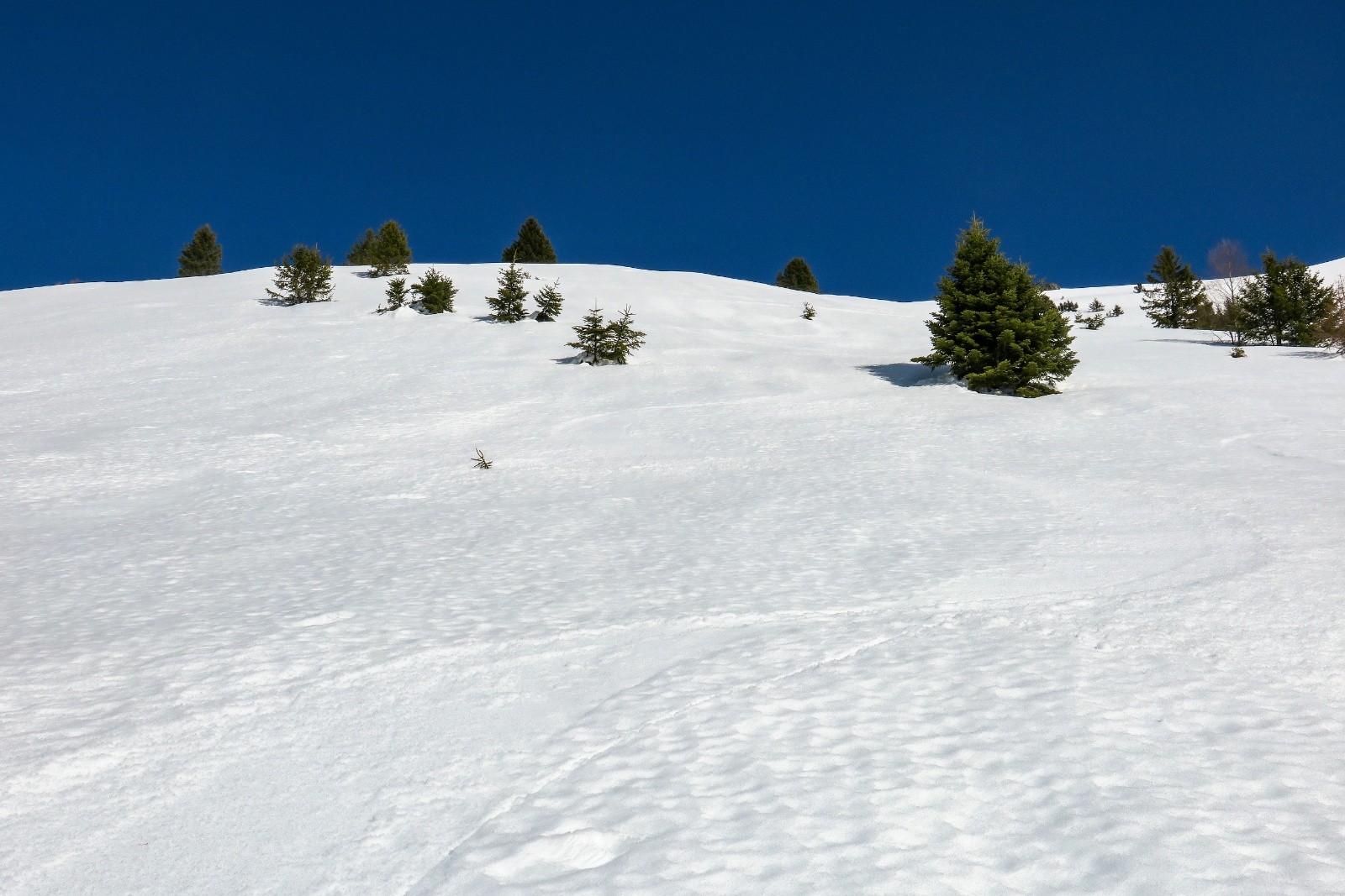 &nbsp;Bon jusqu'en bas !&nbsp;