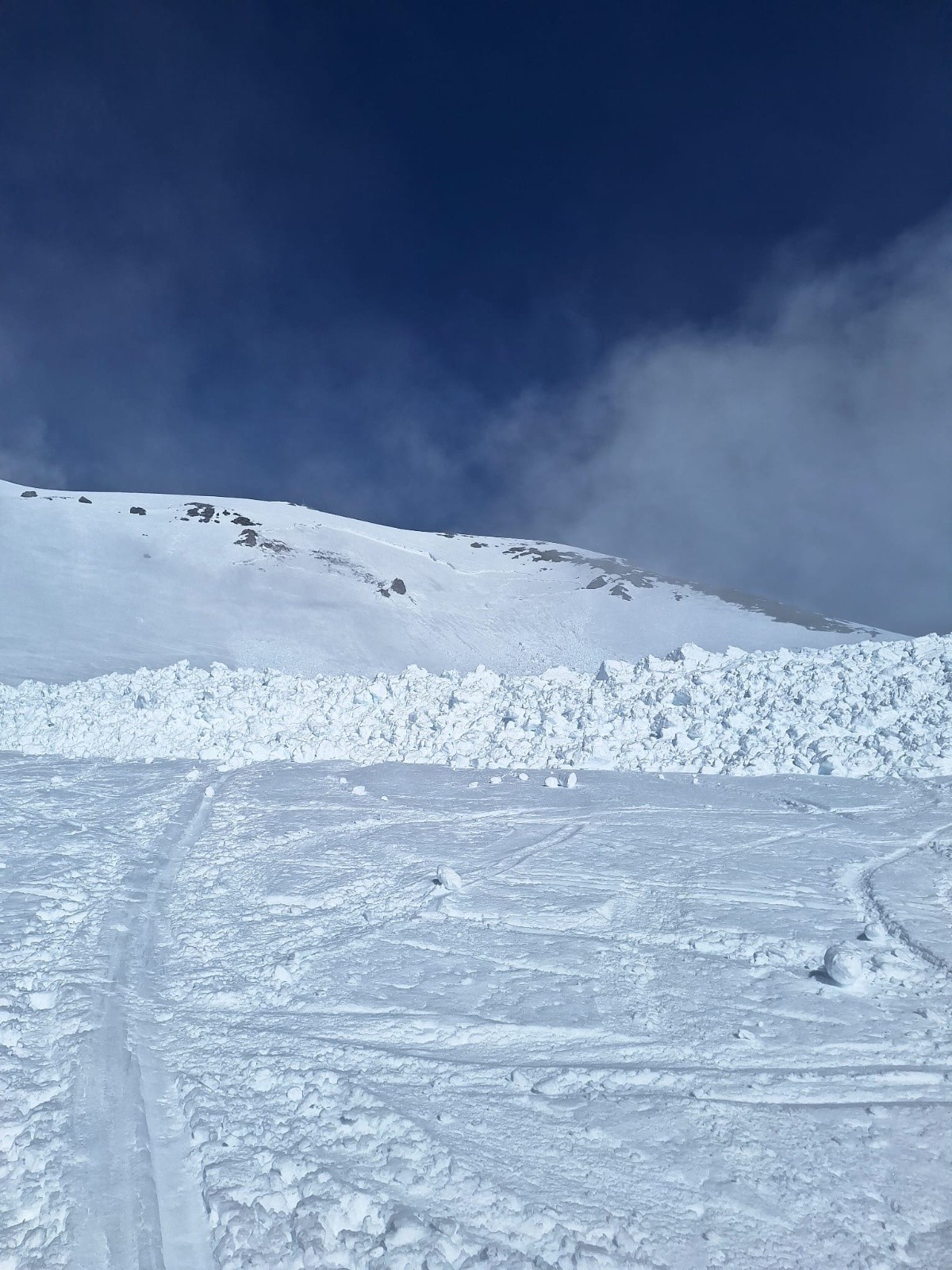 &nbsp;avalanche suite&nbsp;