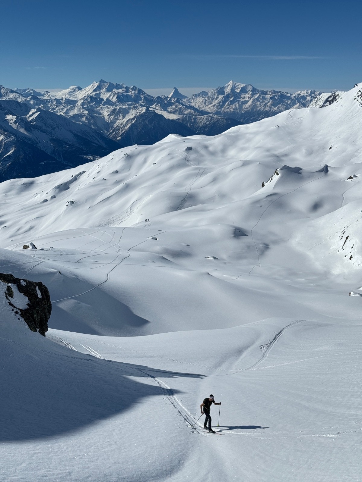 #10 Der Kollant Pipett Der Kollant Pipett