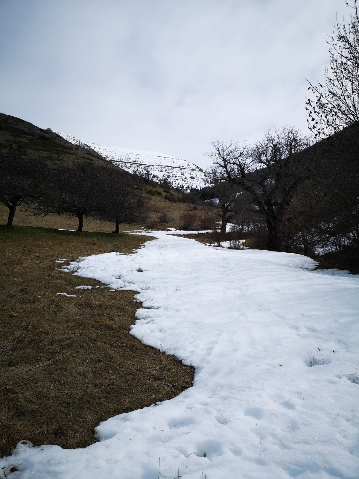 #9 La langue depuis la route La langue depuis la route
