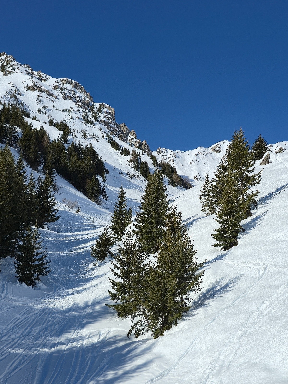 #4 Le fond du vallon que nous avons évité.pour rejoindre la moquette des pentes sud-est Le fond du vallon que nous avons évité.pour rejoindre la moquette des pentes sud-est