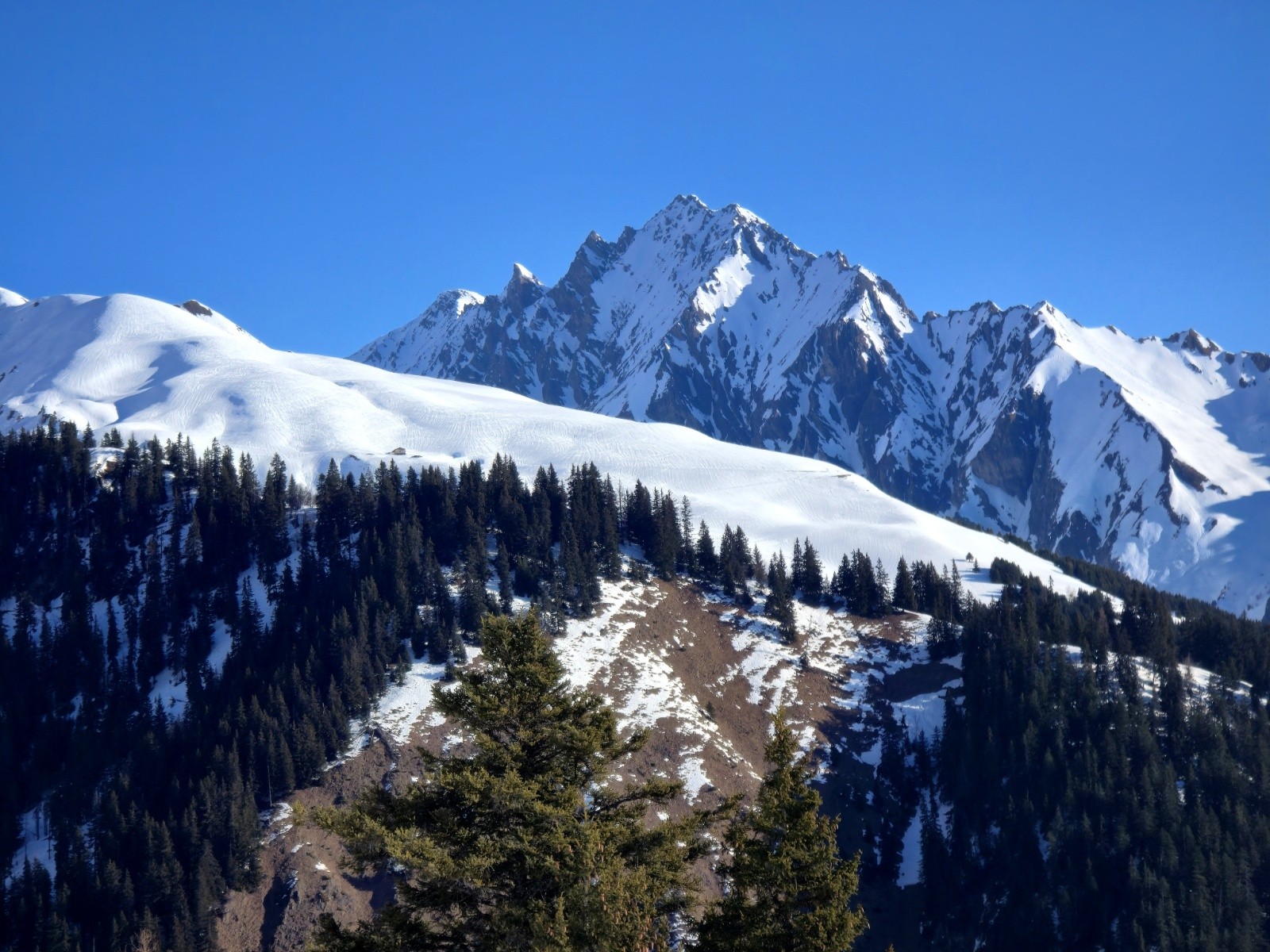 #1 Le Roignais émerge derrière la croupe du Mont Rosset. Le Roignais émerge derrière la croupe du Mont Rosset.
