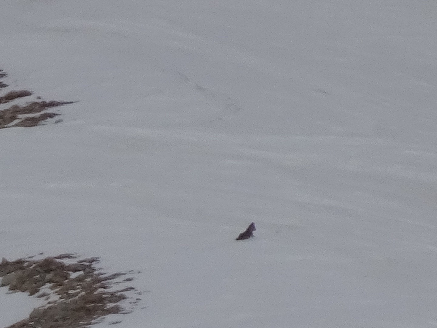 #19 Oh non la flemme! Oh non la flemme!