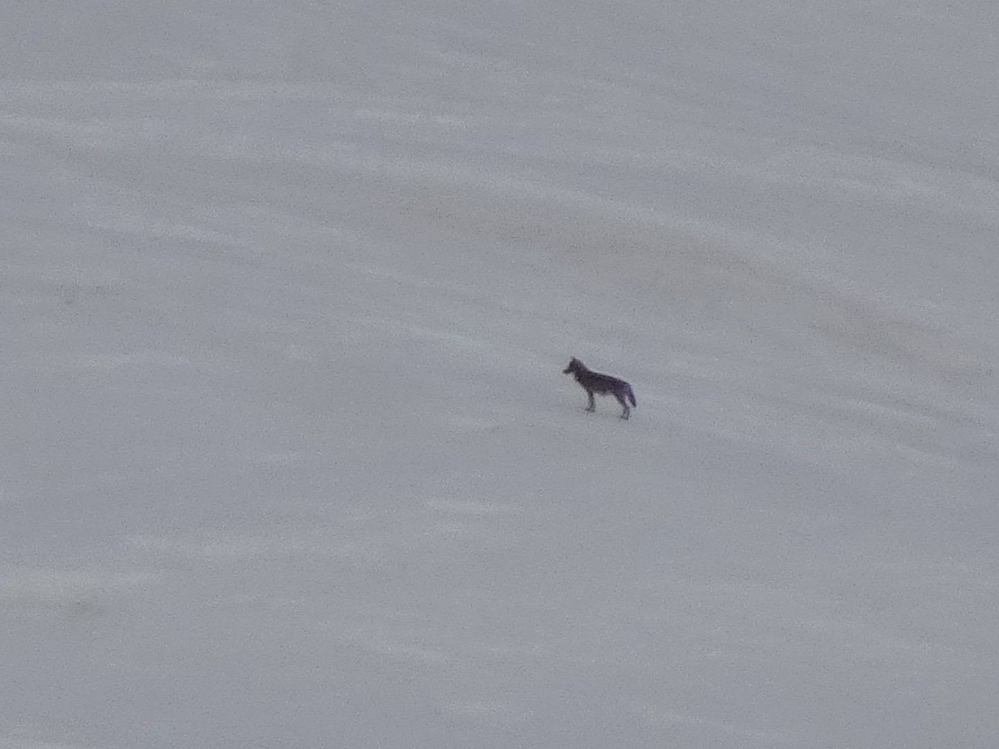 #16 Bon tu viens je t’appelle depuis 10min! Bon tu viens je t’appelle depuis 10min!