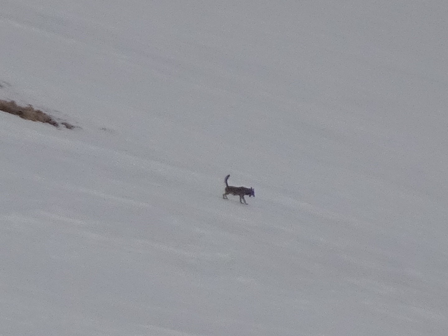 #20 Ouai ta raison j’suis mort aussi! Ouai ta raison j’suis mort aussi!