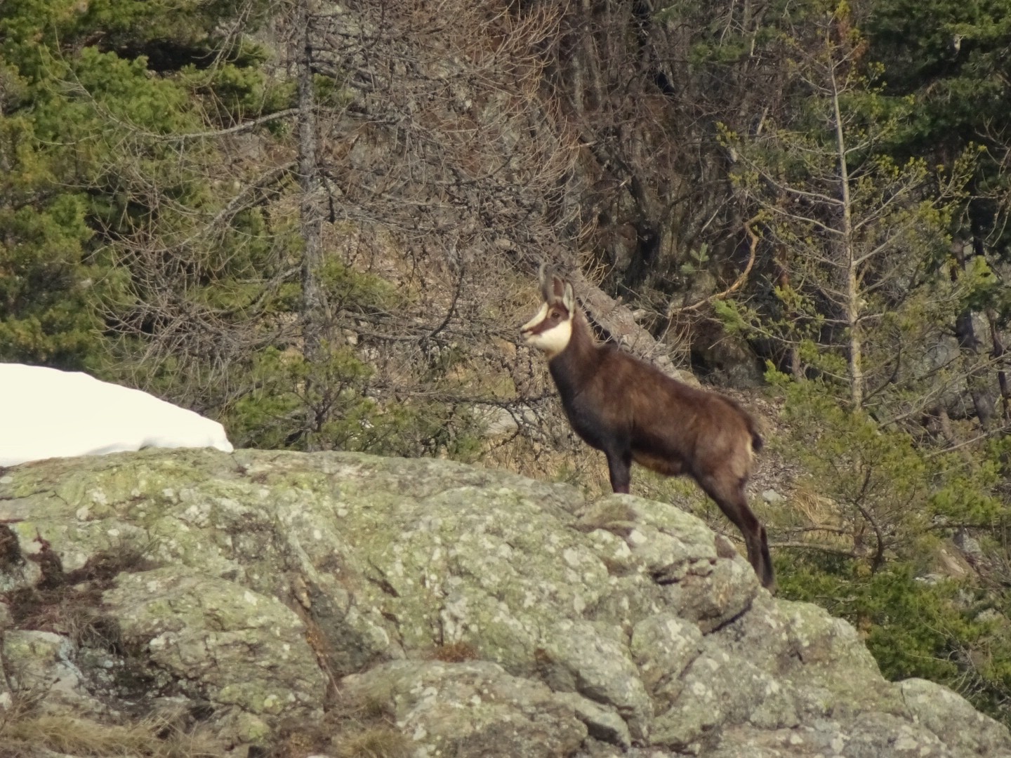 #26 Qu’est-ce que t’as à me prendre en photo ?? Qu’est-ce que t’as à me prendre en photo ??
