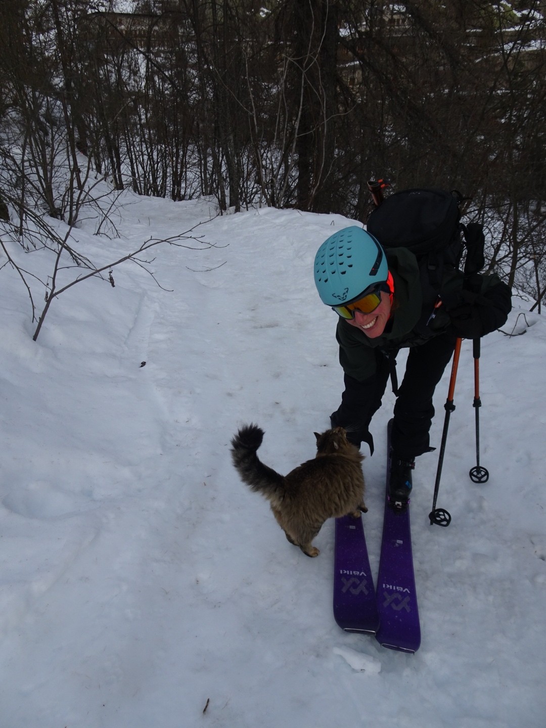 #3 Le minou bien câlin dis donc ! Le minou bien câlin dis donc !