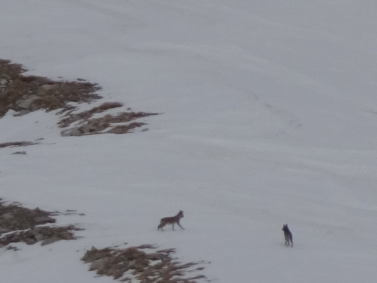 #17 Oui oui j’arrive c’est bon… Oui oui j’arrive c’est bon…