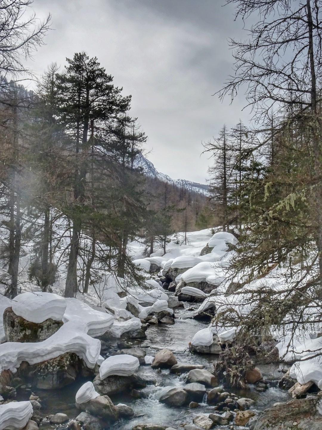 #25 Les meringues 🤩 Les meringues 🤩