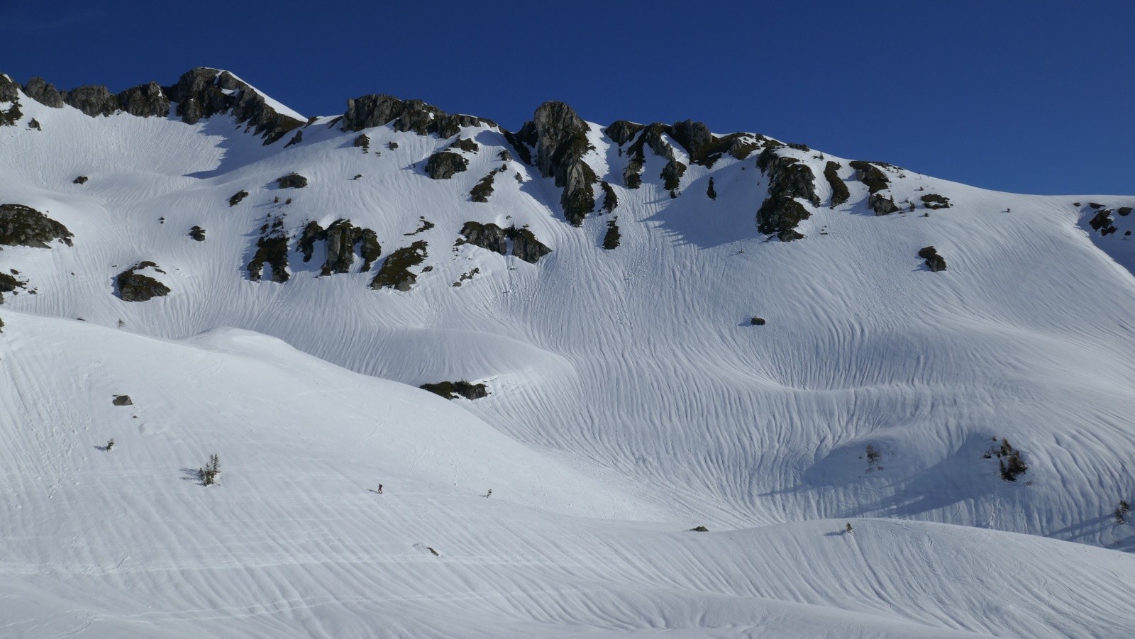 #2 Cannelure Cannelure