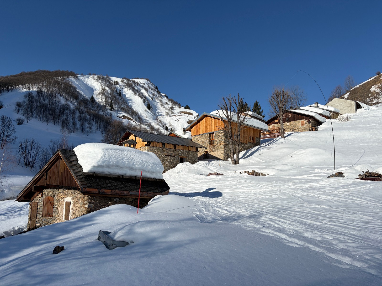 #1 la Sauce la Sauce