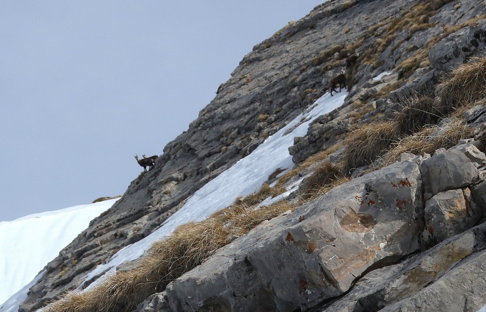 Je suis repéré...&nbsp;