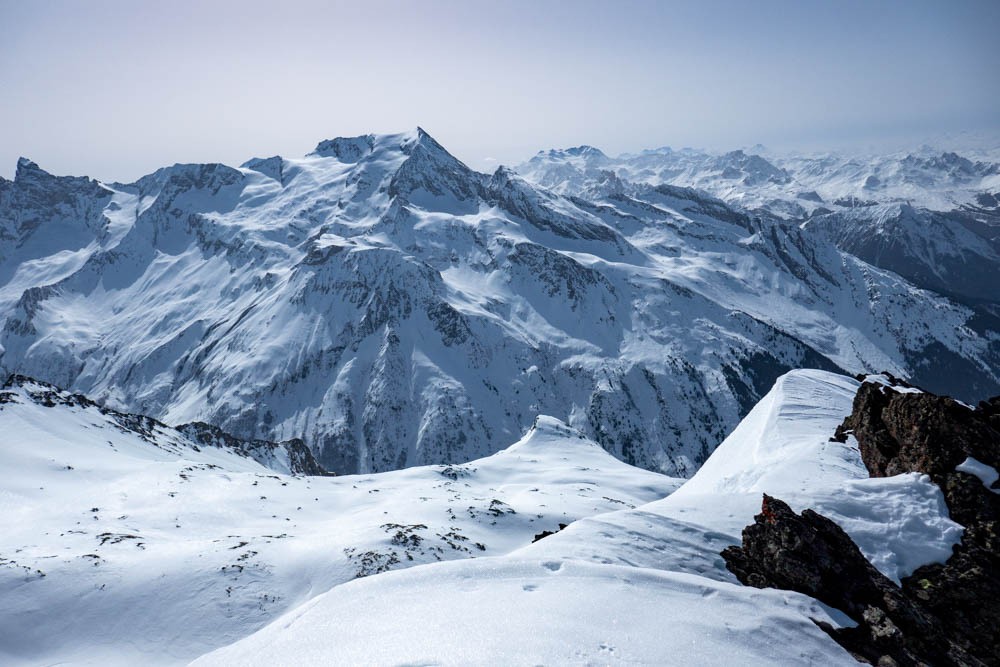 le Grand bec splendide !