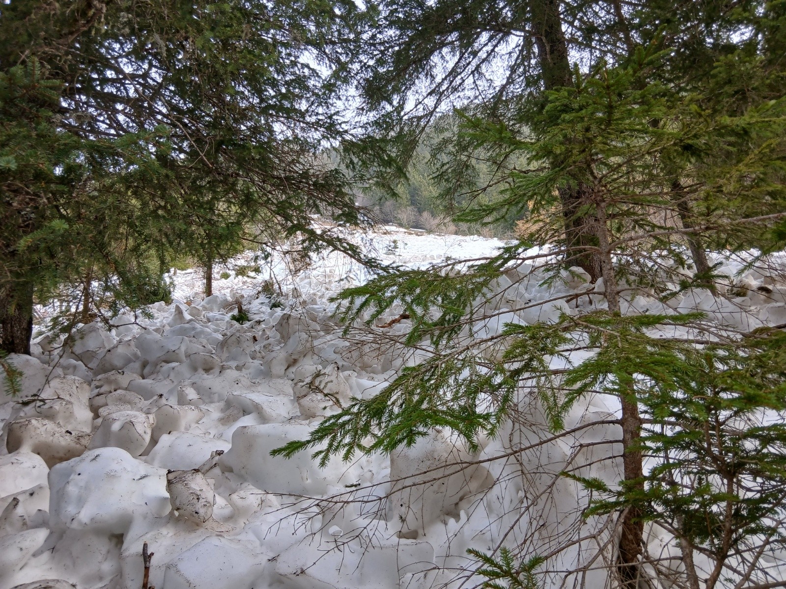 Jusqu'au bord du chemin, bonne coulée