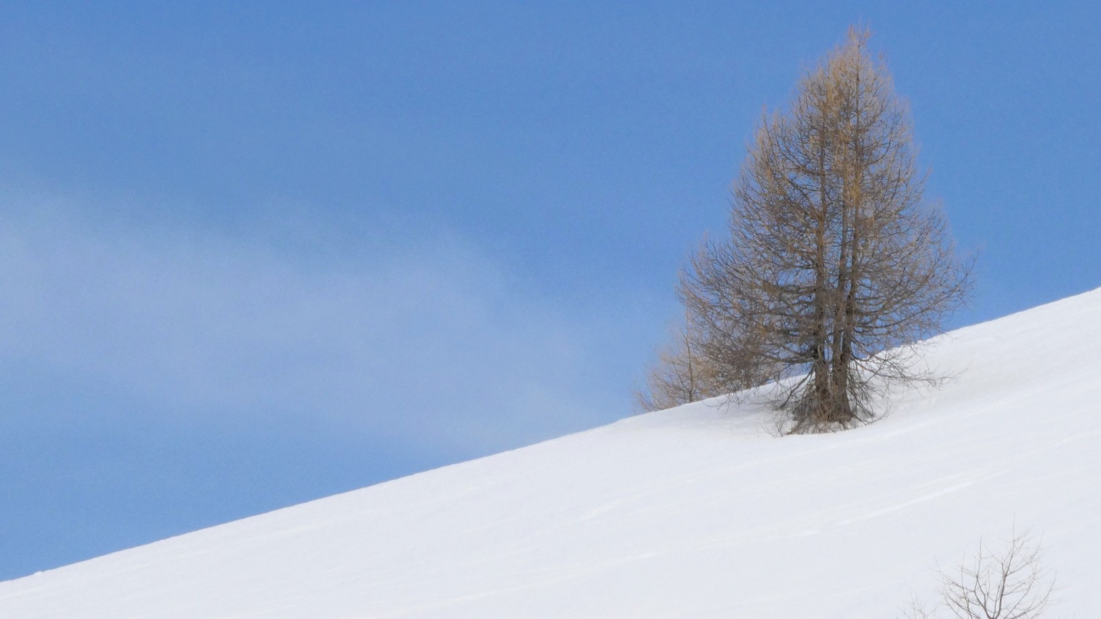 J2 un plus ou moins solitaire