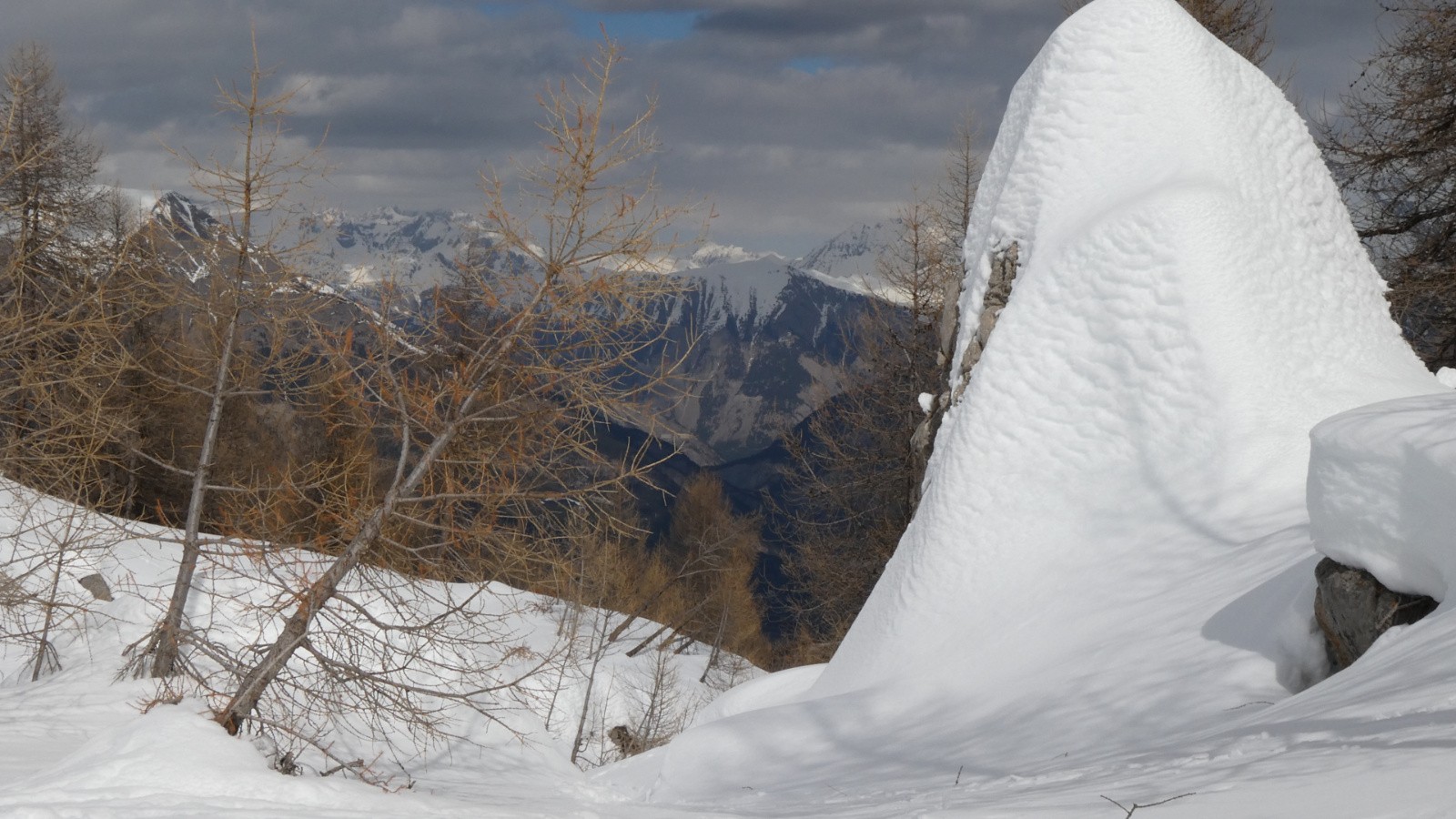 J1 un pénitent blanc