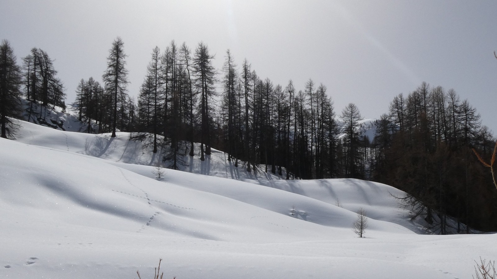 J3 les capitons N/W du Vallon Grand