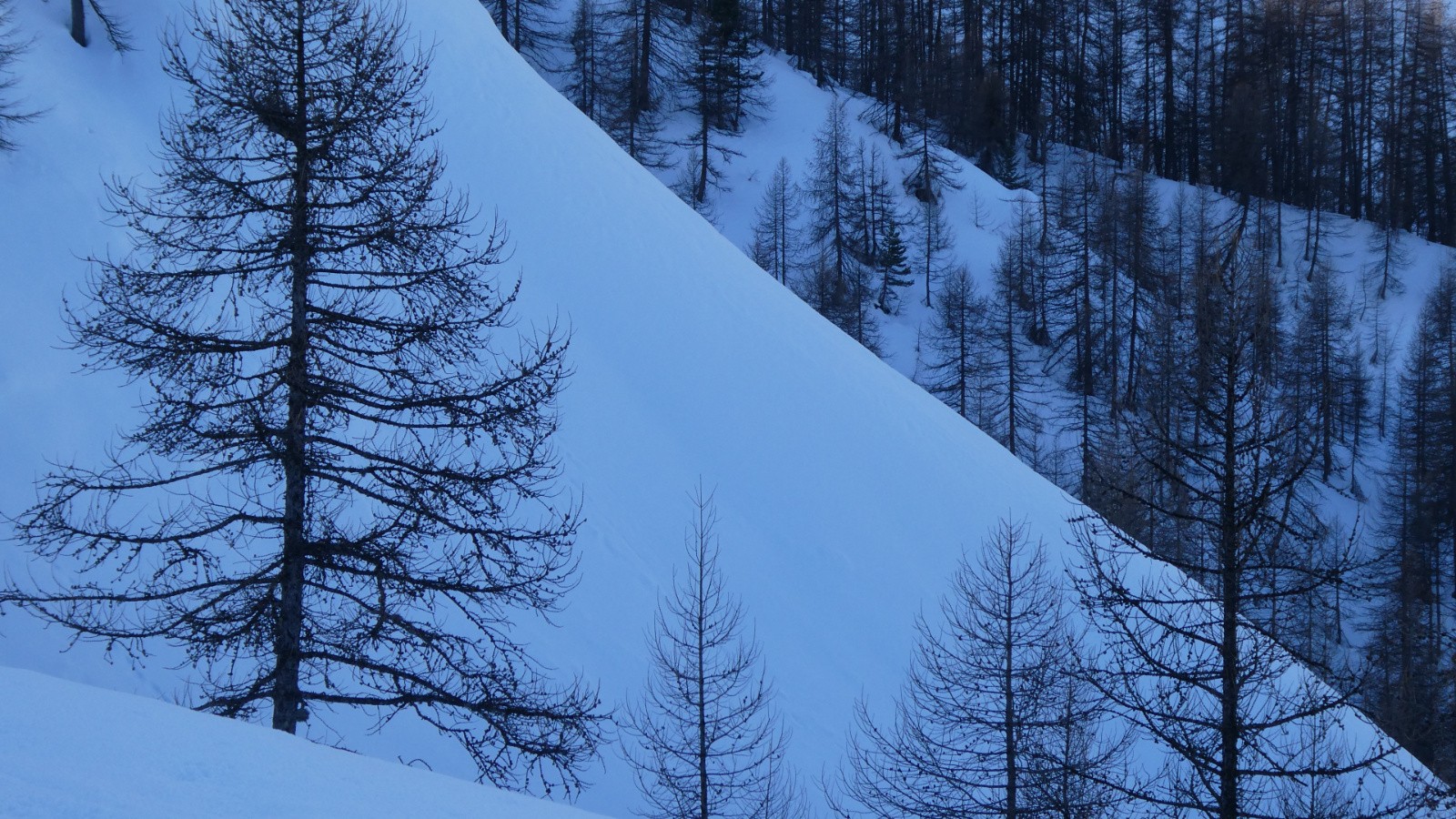 J1 la froidure n'est qu'apparente