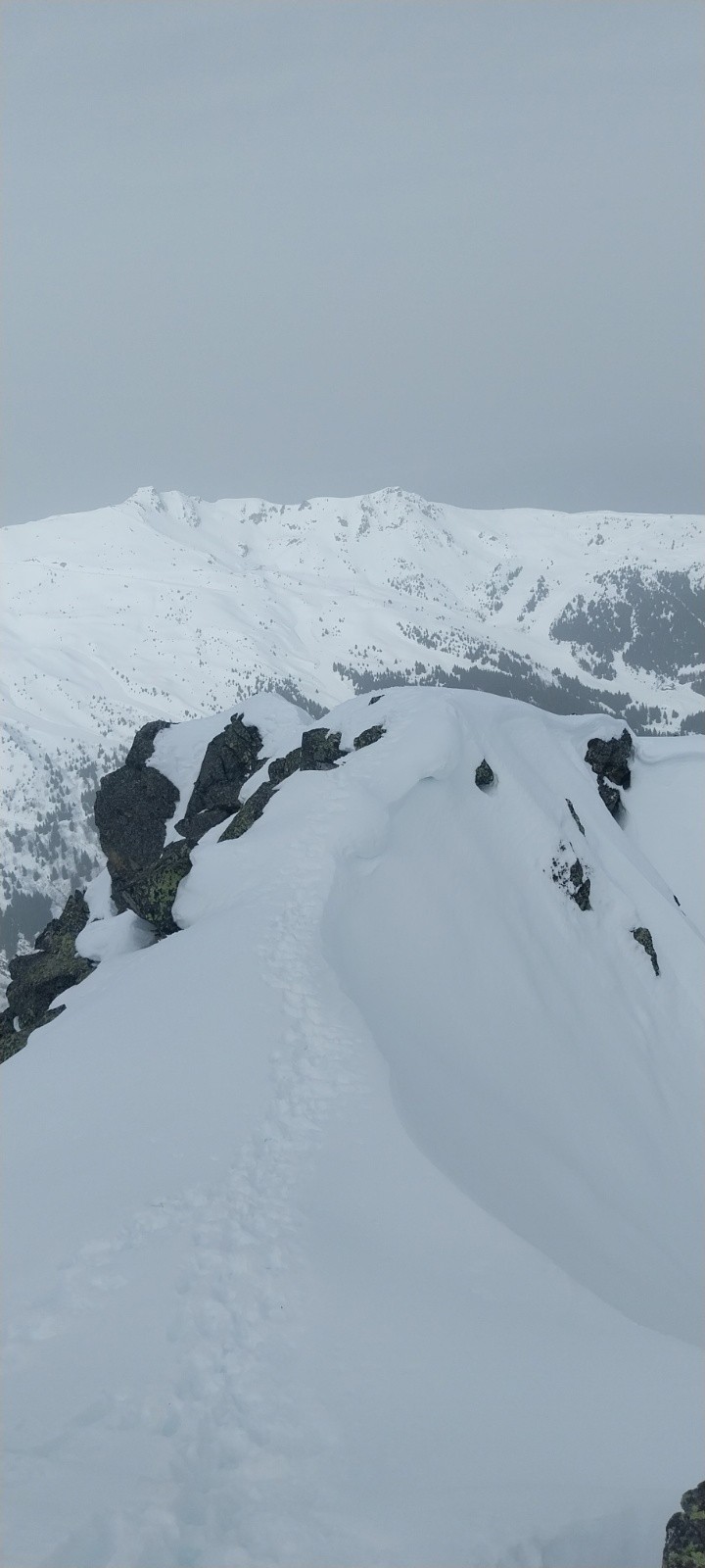 &nbsp;Les chamois tracent les arrêtes