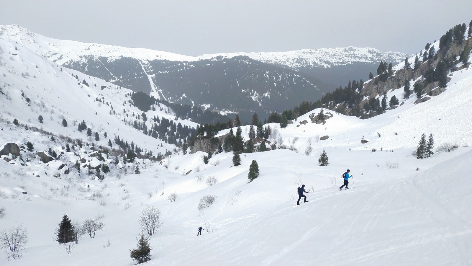 &nbsp;La Chartreuse a disparu de l'arrière plan