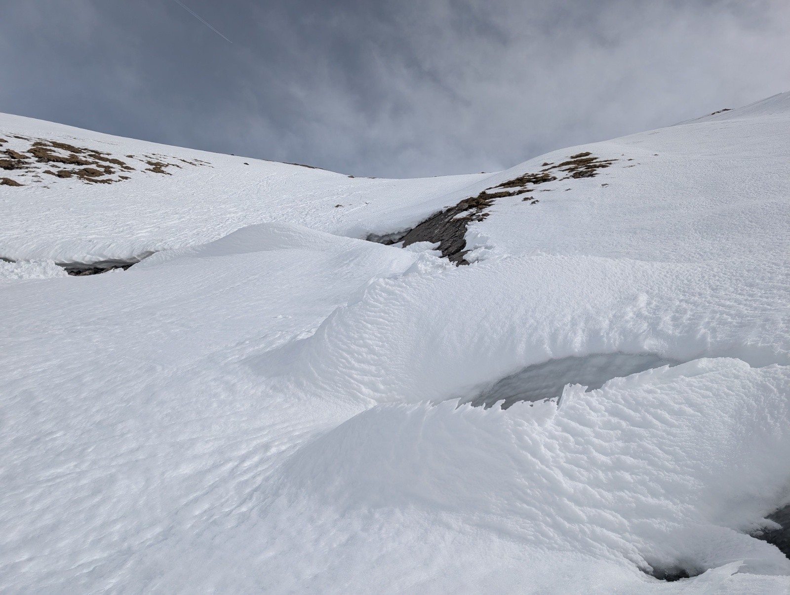 &nbsp;Les gueules de baleine en formation&nbsp;