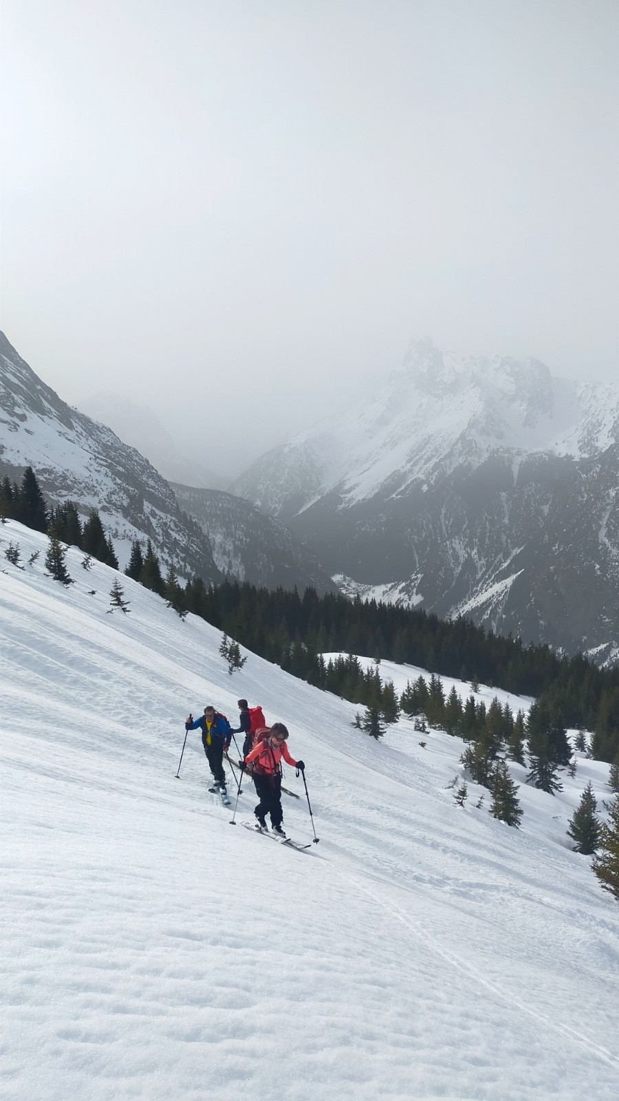 on distingue tout juste Portetta