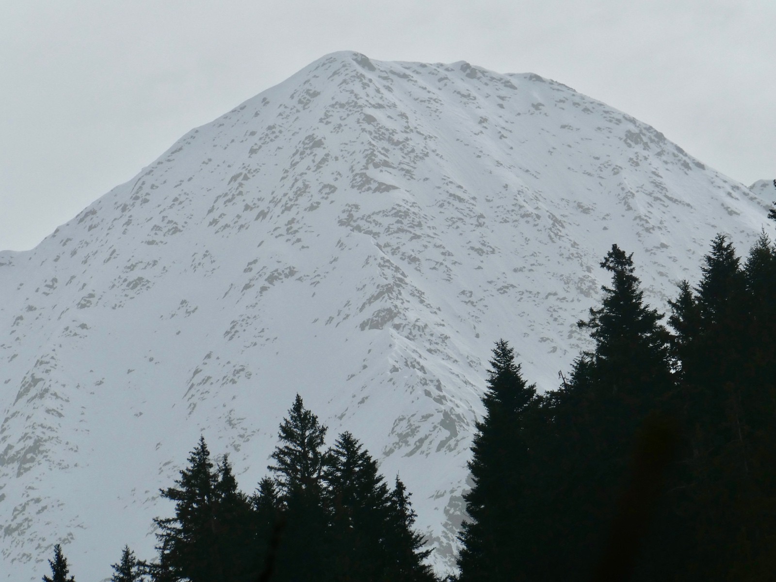 &nbsp;Le géant d’à côté, attention la photo est trompeuse, le bas ne passe absolument pas 😅