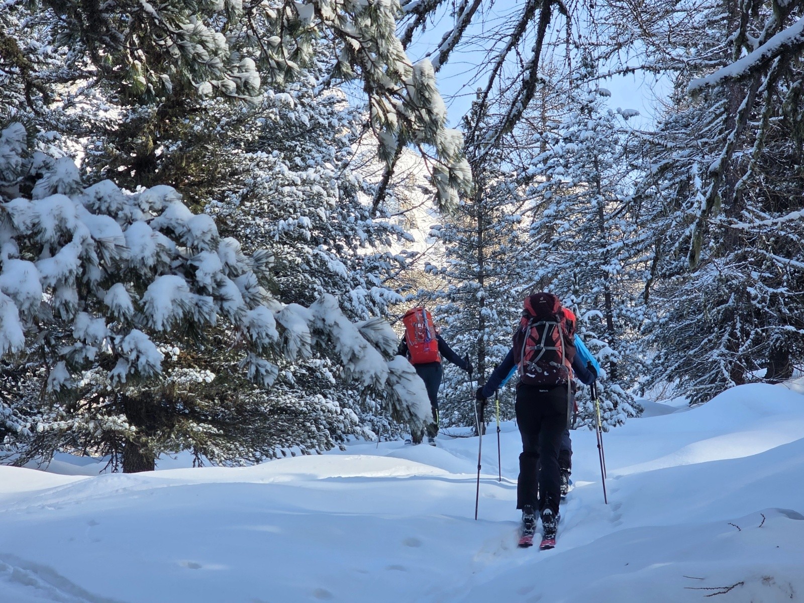 Forêt enchanteresse vers le passondi Chiaffredo&nbsp;