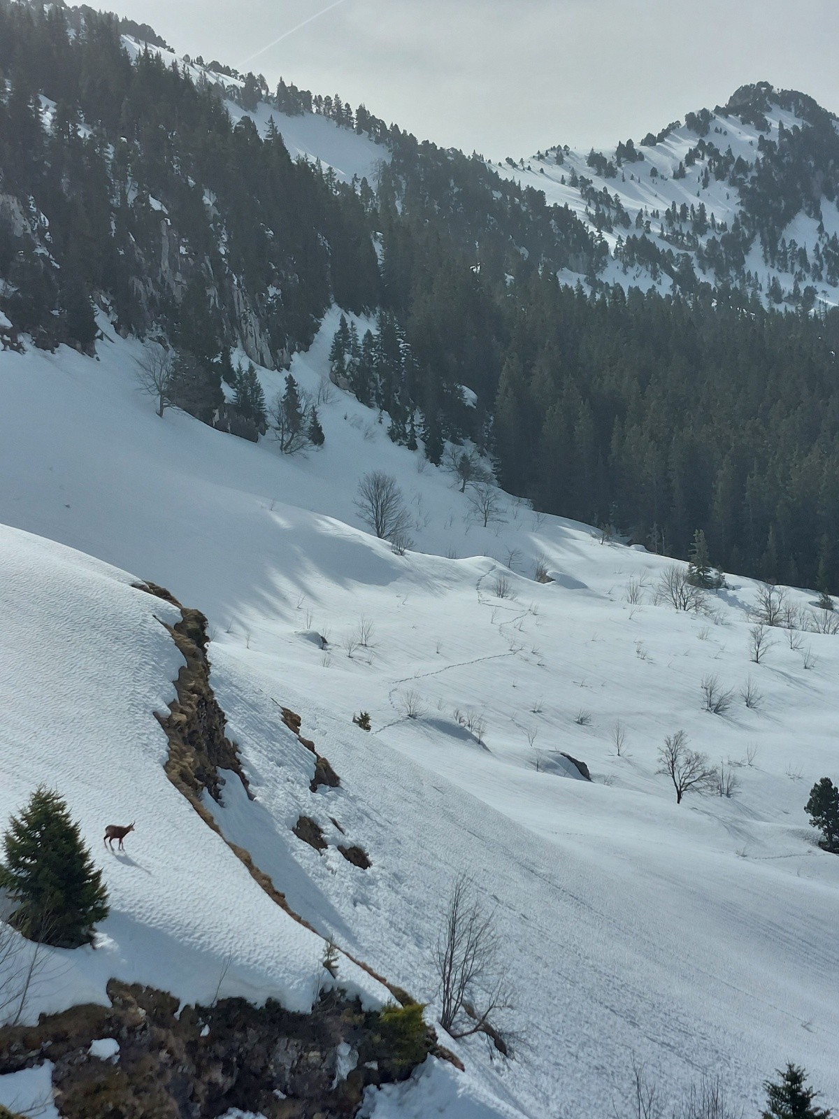 Trouver la bestiole&nbsp;